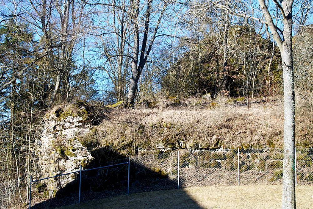 files/tl_filesOPO/Beitraege/opo_Geisingen_Burg Wartenberg_Bild.jpg